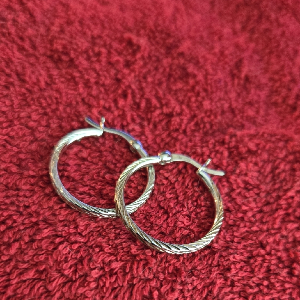 Elegant Silver Hoop Earrings